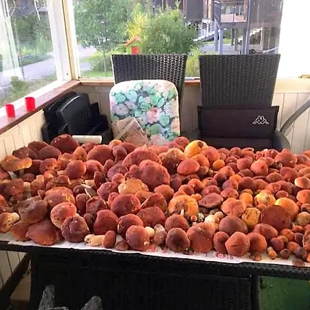 уютный таунхаус, в живописном месте! Apartmán *